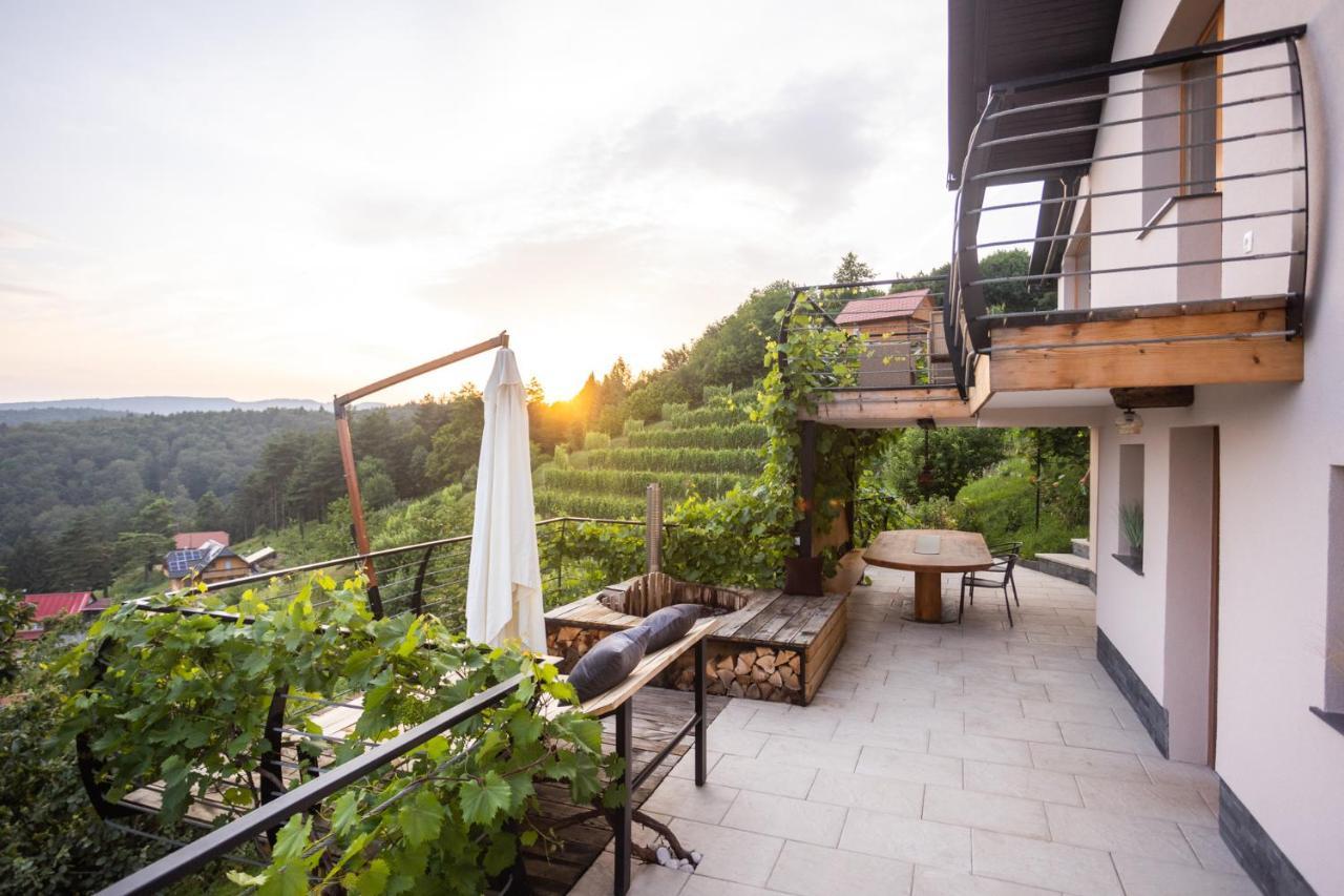 Vineyard Cottage Sonce Sentvid Pri Sticni エクステリア 写真
