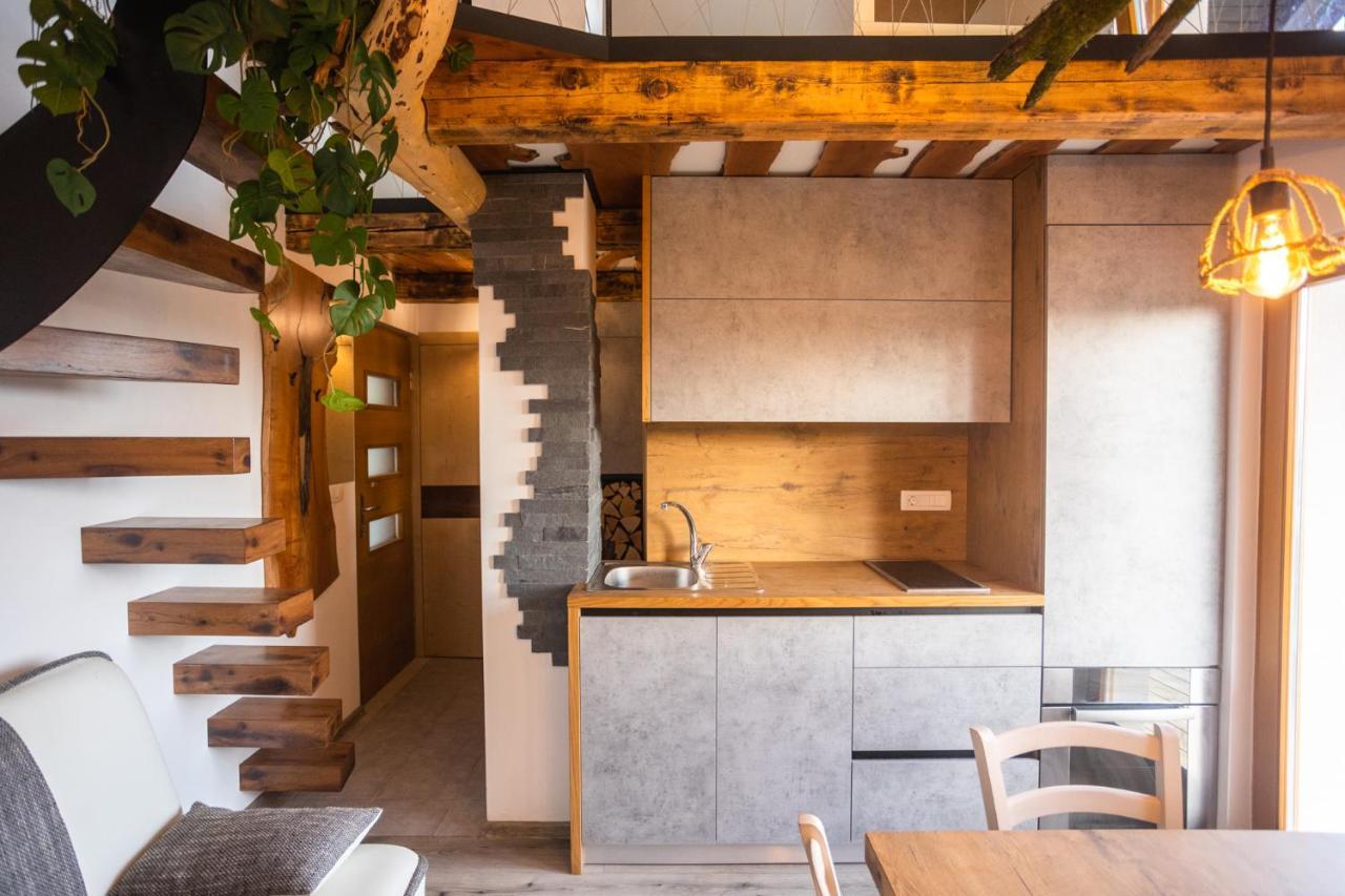 Vineyard Cottage Sonce Sentvid Pri Sticni エクステリア 写真