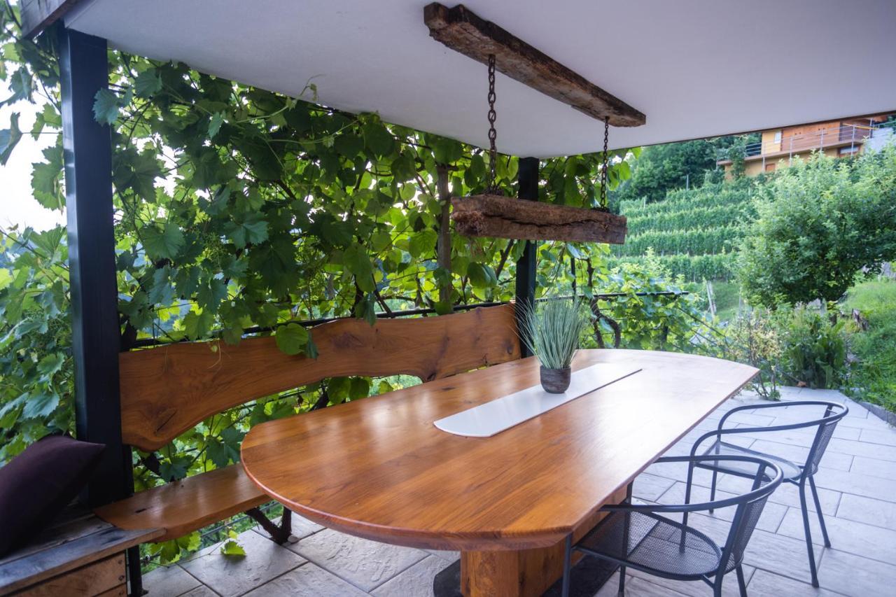 Vineyard Cottage Sonce Sentvid Pri Sticni エクステリア 写真