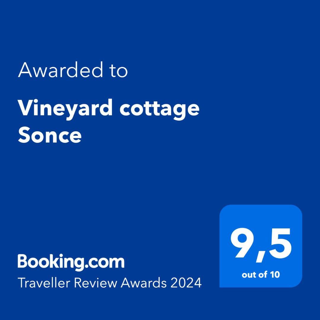 Vineyard Cottage Sonce Sentvid Pri Sticni エクステリア 写真