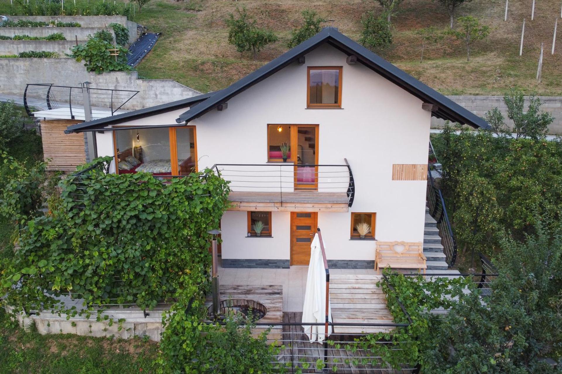 Vineyard Cottage Sonce Sentvid Pri Sticni エクステリア 写真